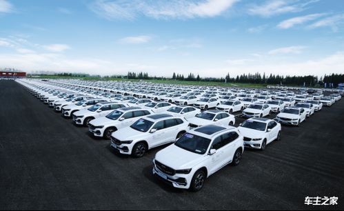 銀河l7 領(lǐng)克09護(hù)航奔 甬 向前 吉利淦家閱擔(dān)當(dāng)?shù)?00棒亞運(yùn)火炬手