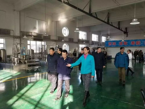 集團總經(jīng)理王爽一行到水表廠 凈水劑分公司 四水廠進行節(jié)日慰問并指導工作