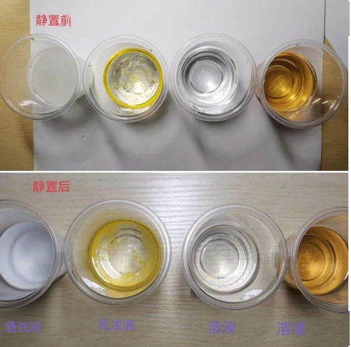 展學科實踐性作業 亮航中學子風采